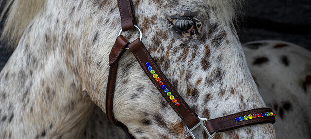 Badkamer gebied Bejaarden Halster Bling Multicolour - Bruin leer - Bling Your Horse