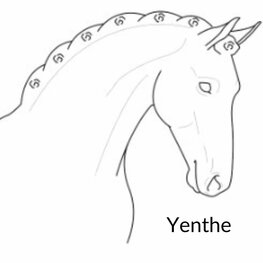 Groom Shirt Soft Pink Silver Glitter